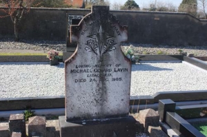 Lavin Michael Gerard Lisacurkia